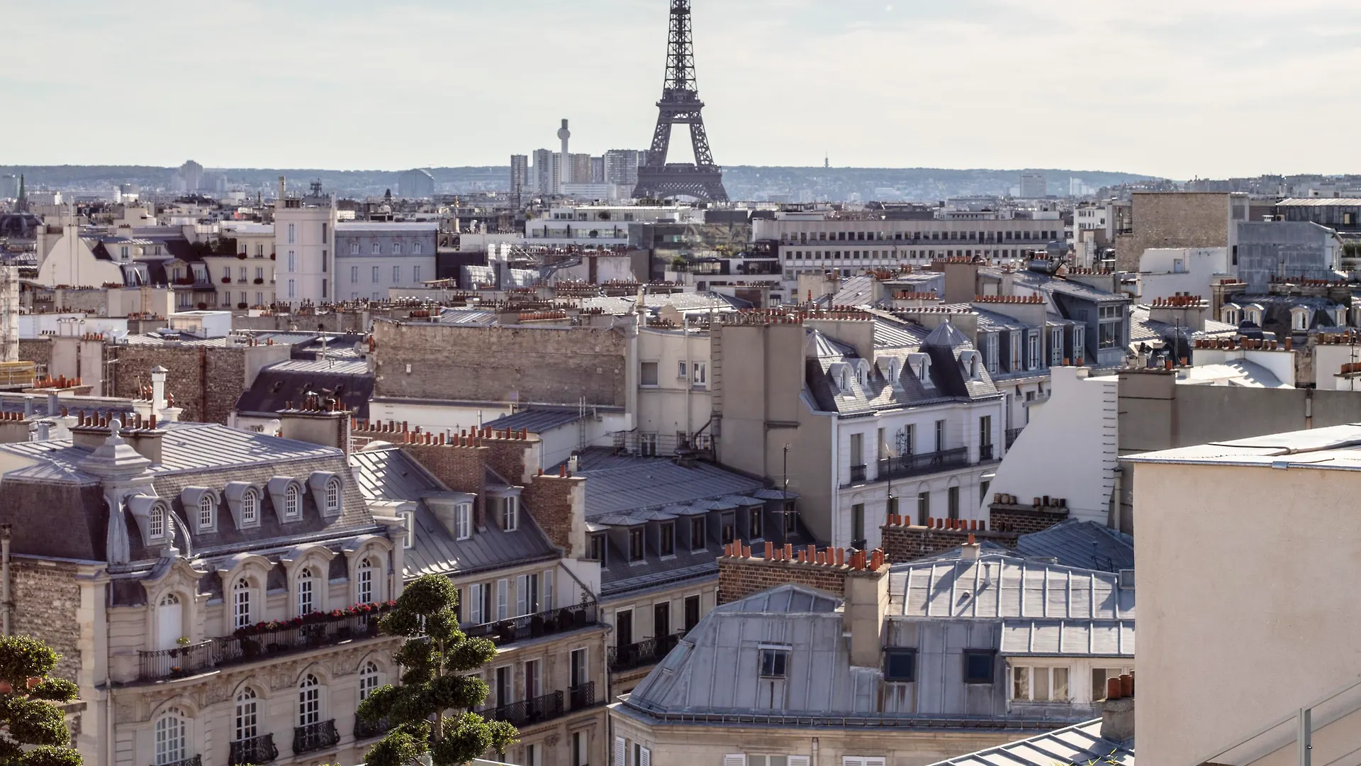 Bowmann Paris